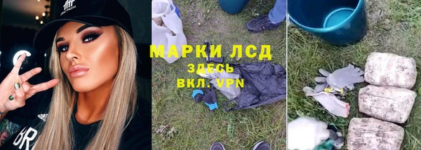 прущие грибы Володарск